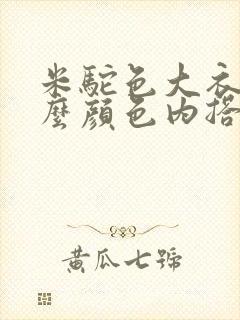 米驼色大衣配什么颜色内搭