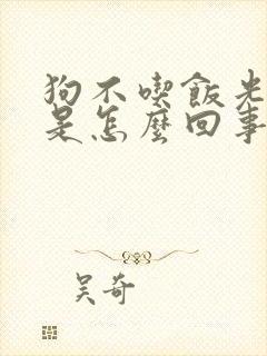 狗不吃饭光喝水是怎么回事