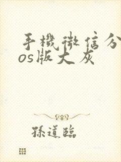 手机微信分身ios版大灰