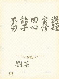 不能回家过年的句子心情短语