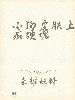 小狗皮肤上有结痂硬块