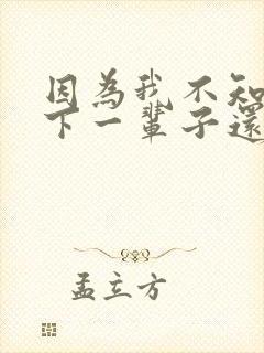 因为我不知道,下一辈子还是否能遇见你歌词