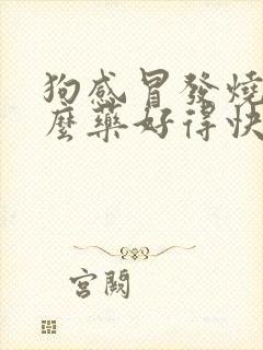 狗感冒发烧吃什么药好得快点