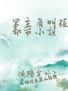 男主角叫张成的都市小说