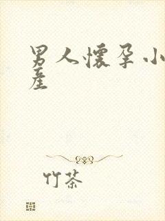 男人怀孕小说生产