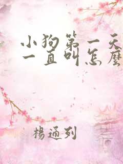 小狗第一天到家一直叫怎么办