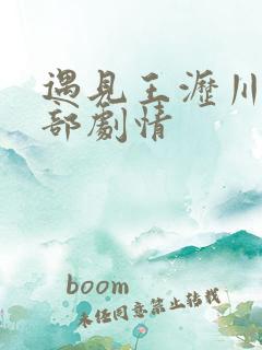 遇见王沥川第二部剧情