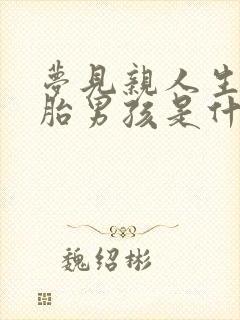 梦见亲人生双胞胎男孩是什么意思