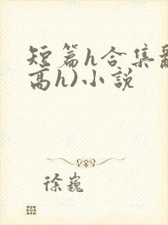 短篇h合集乱(高h)小说
