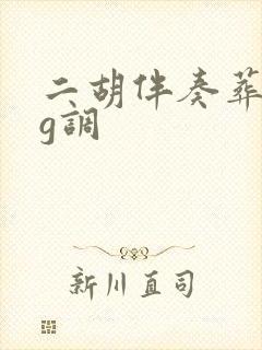 二胡伴奏葬花吟g调