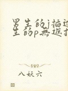 男生的j插进女生的p无遮挡