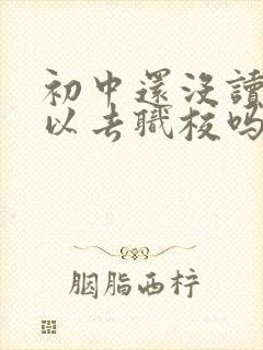 初中还没读完可以去职校吗