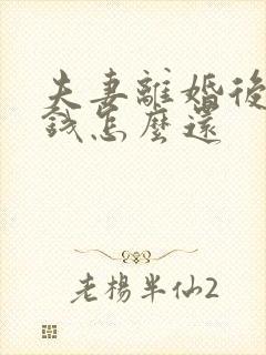 夫妻离婚后借的钱怎么还