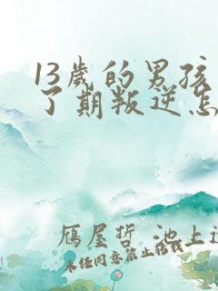 13岁的男孩到了期叛逆怎么教