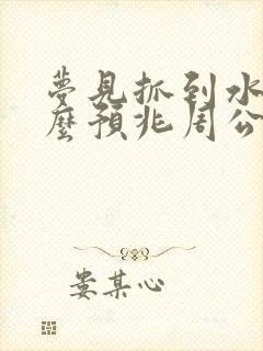 梦见抓到水鱼什么预兆周公解梦