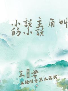 小说主角叫林宇的小说