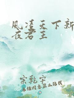 风凌天下新书长夜君主