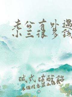 老公有外遇并给小三很多钱怎么办