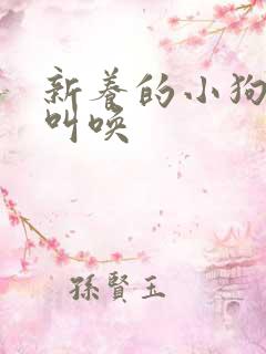 新养的小狗一直叫唤