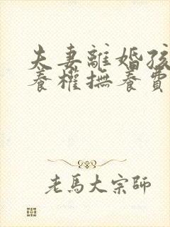 夫妻离婚孩子抚养权抚养费怎么判定