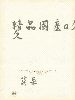 精品国产a久久久