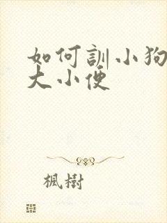 如何训小狗定点大小便