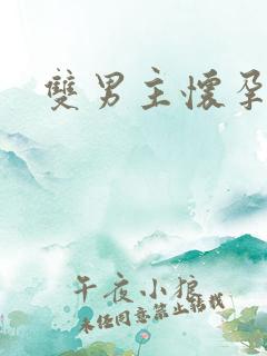 双男主怀孕小说