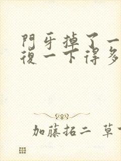 门牙掉了一半修复一下得多少钱