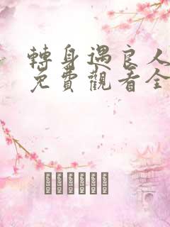 转身遇良人短剧免费观看全集在线