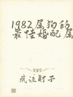 1982属狗的最佳婚配属相