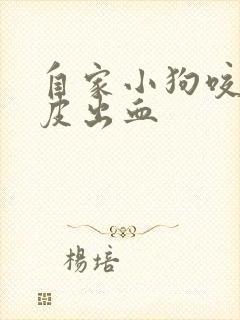 自家小狗咬了破皮出血