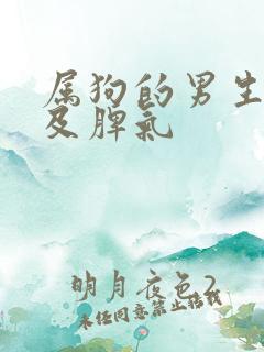 属狗的男生性格及脾气