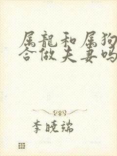 属龙和属狗的适合做夫妻吗