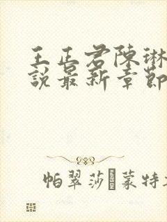 王正君陈琳洁小说最新章节更新时间