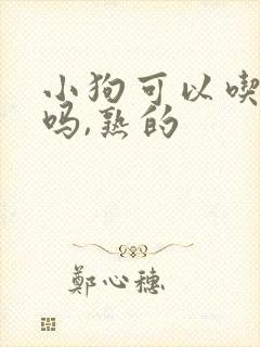 小狗可以吃羊肉吗,熟的