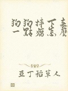 狗狗摔下来腿有一点瘸怎么办