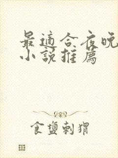 最适合夜晚看的小说推荐