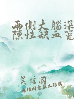 两侧大脑深部腔隙性缺血灶