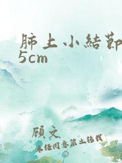 肺上小结节0.5cm