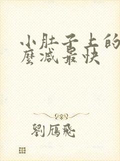 小肚子上的肉怎么减最快