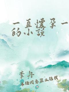 一直怀孕一直生的小说