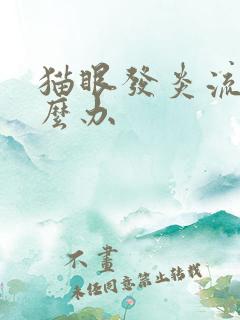 猫眼发炎流脓怎么办