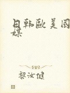 日韩欧美国产传媒