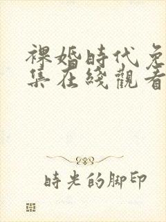 裸婚时代免费全集在线观看