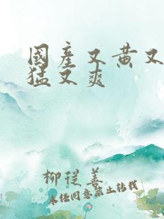 国产又黄又粗又猛又爽