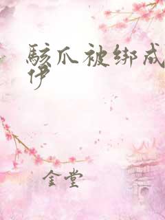 骇爪被绑成木乃伊