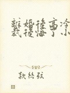 离婚后高冷女总裁后悔了小说笔趣