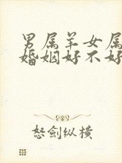 男属羊女属羊的婚姻好不好