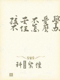 孩子不爱学习记不住怎么办