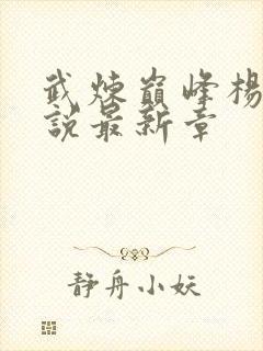 武炼巅峰杨开小说最新章